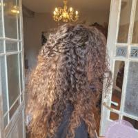 coiffure invitée