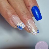 pose gel + nail art