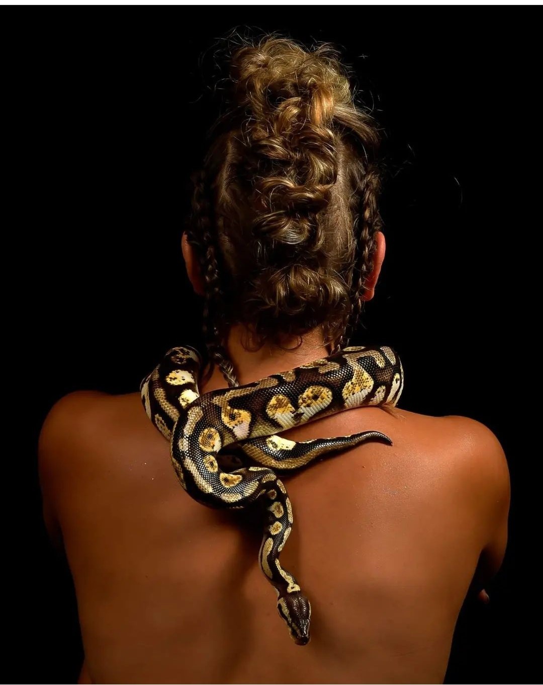 shooting photo serpent