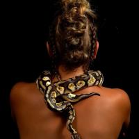 shooting photo serpent