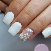 ONGLES FEVRIER 2024
